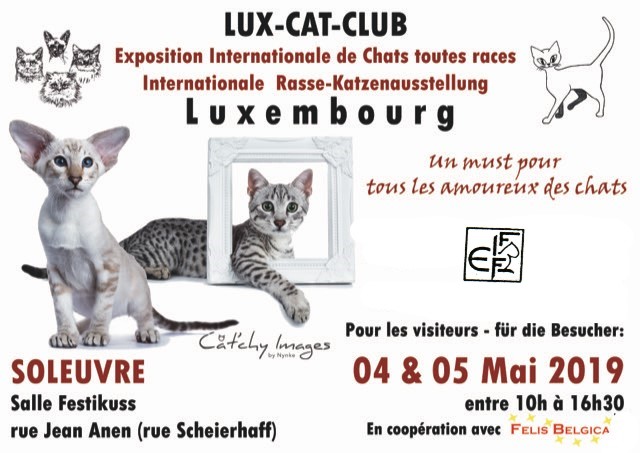 2019.05.05 Luxembourg 75.Exposition Feline