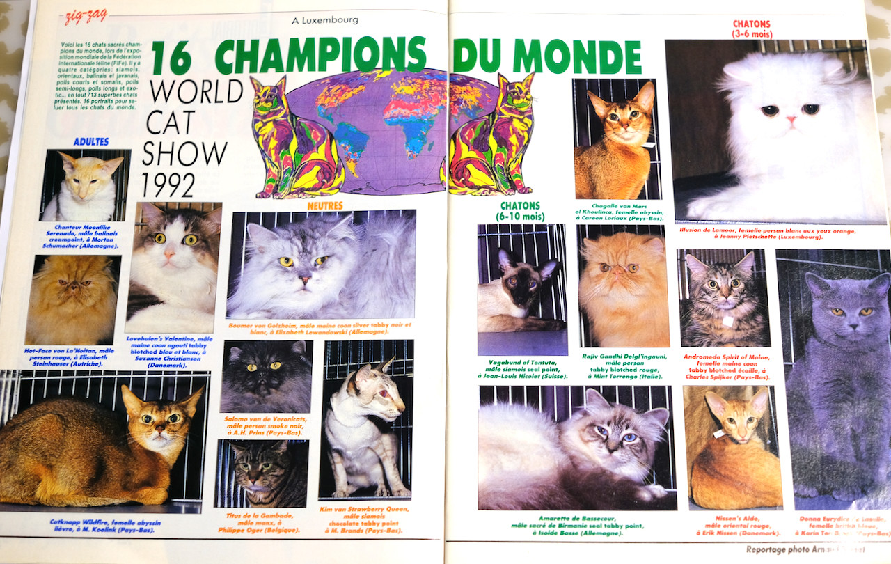 1992 Luxembourg WorldCatShow (2).jpeg